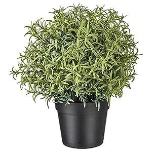 Buy Ikea Aerglo FEJKA Artificial Rosemary Potted Plant in/Outdoor (Pot ...