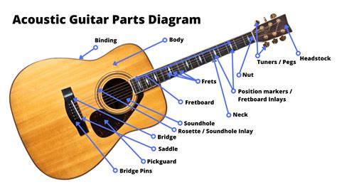 Guitars Anatomy Parts Of An Electric Guitar Coustii Yamaha