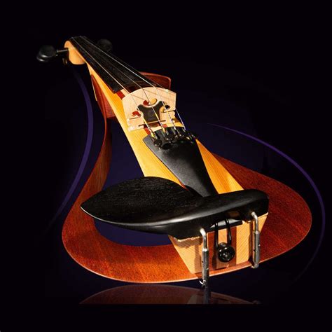 Image result for Electric String Instruments