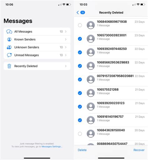 Image result for iPhone 12 Text Message Issues