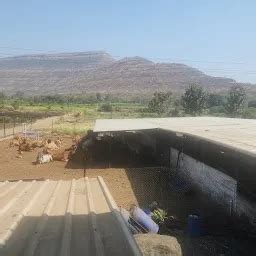 Best Top Rated Milk delivery service in Wai, Maharashtra, India | Yappe.in