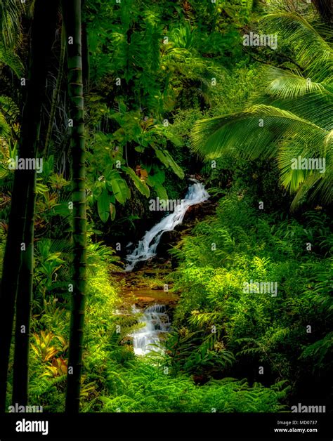 Waterfalls on Anini stream. Princeville Botanical Gardens. Kauai ...