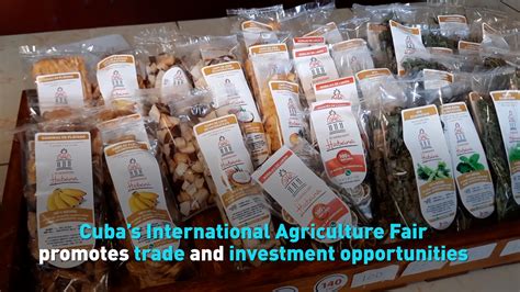 Cuba’s International Agriculture Fair promotes trade - CGTN