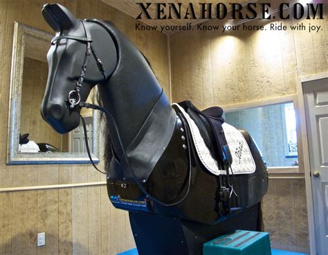 Horse Riding Simulator Exercise Machine 的图像结果