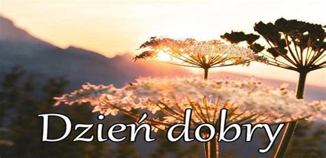 Good Morning in Polish Wishes and Images - Good Morning Wishes