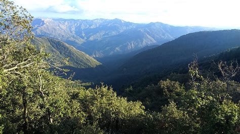 HEBERGEMENT DIDOU (Blida) - Hotel Reviews & Photos - Tripadvisor