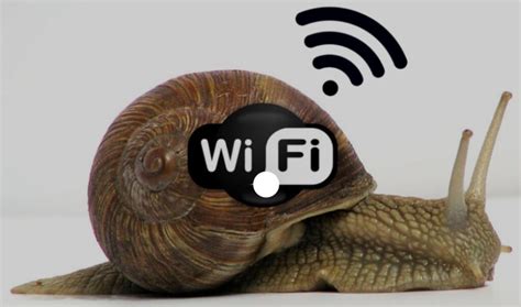 Image result for Wireless Interference