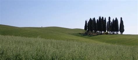 Nancy Davidson, PsyD Inc.