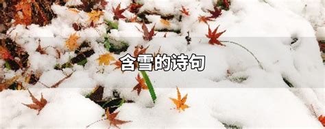 冬雨的诗句古诗 - 业百科