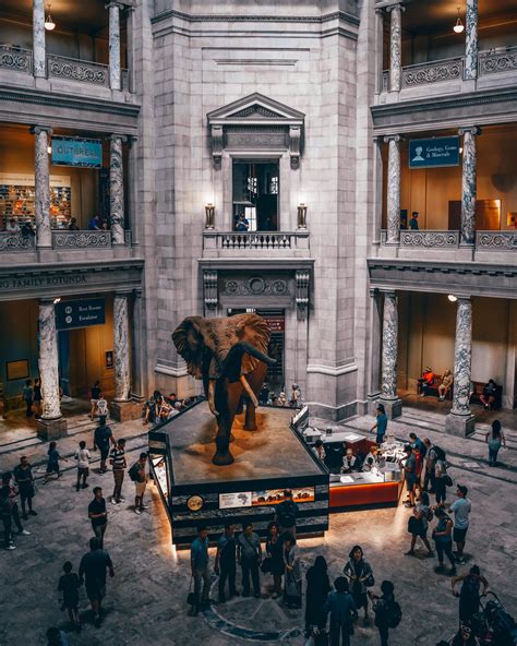 Smithsonian Museum 的图像结果