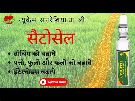 Plant Growth Regulator - Organic Powergibb (Flowering Stimulant ...