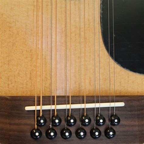 Image result for 12 String Instruments