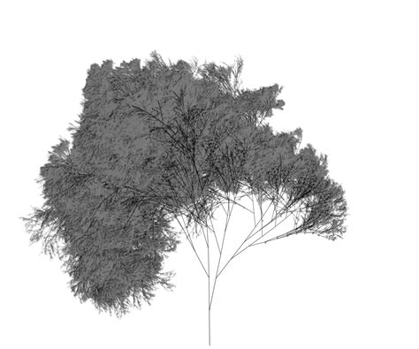 Image result for Recursive Pattern Tree Image