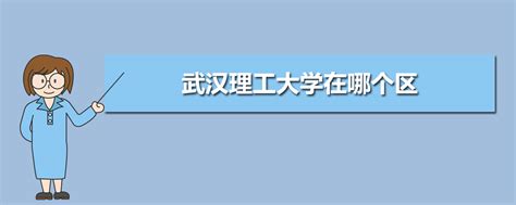 武汉理工大学录取分数线2022年