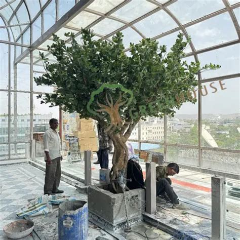 Large/Big Artificial Tree Manufacturers in Delhi