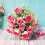 Ravishing Pink - Fresh And Lovely Pink Roses– Bloomsvilla