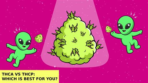 THCA vs THCP: Effects, Legality, and Which to Choose