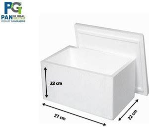 Pan Global 5 L Plastic Thermocol Ice Bucket Price in India - Buy Pan ...