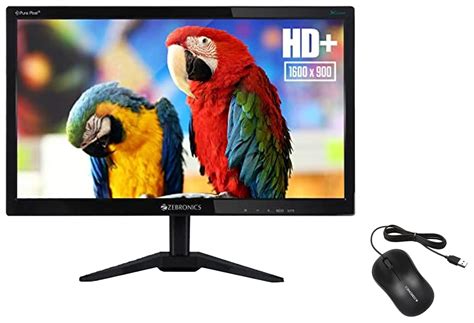 ZEBRONICS 19.5 inch Monitor(49.5CM) with Anti Glare, HD, Slim Design ...