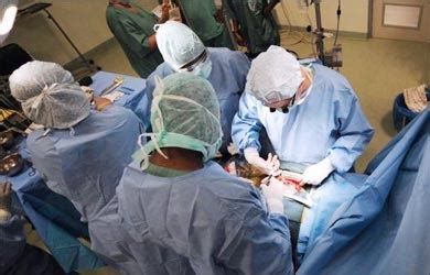 Image result for Compost Autopsy