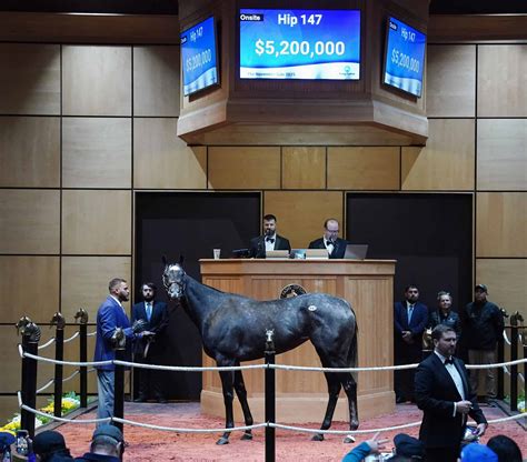 Shisospicy on Standby, Bentornato on Track for Dubai - BloodHorse