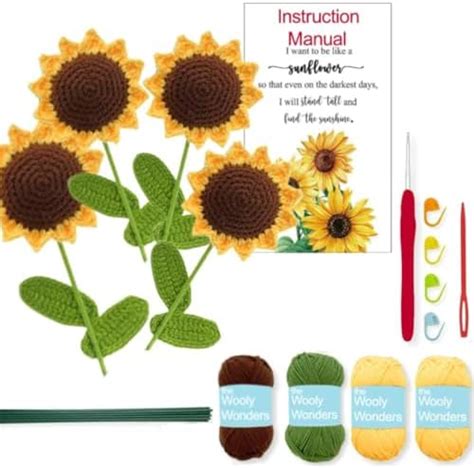 THE WOOLY WONDERS DIY Intermediate Beginners Yarn Amigurmi Crochet Kit ...