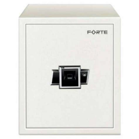 Godrej Forte Biometric Safe Locker Price in India, Specs, Reviews ...