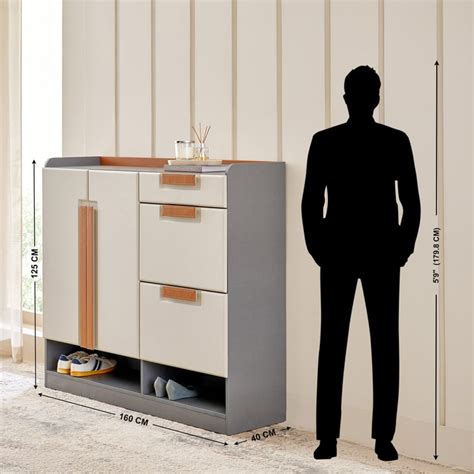 Buy Tiffany 2-Door 26 Pairs Shoe Cabinet with Drawer - Grey from Home ...