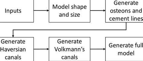 Bone Development Algorithm 的图像结果