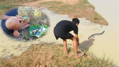 Primitive Cooking Fish 的图像结果