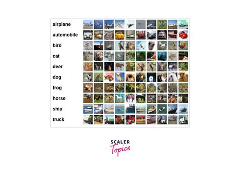 Image result for Pytorch Image Classification