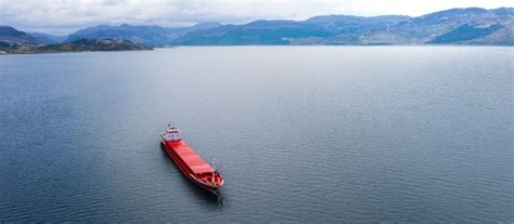 Image result for Shell Panoline