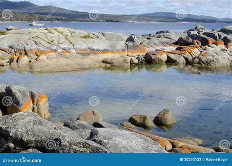 Coast in Tasmania Bay of Fire Australia Stock Image - Image of ...