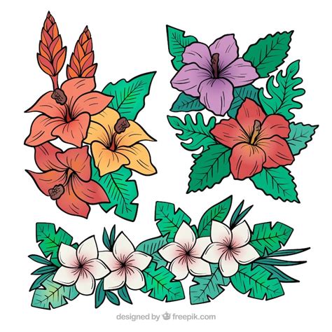 Cartoon hawaiian flowers Images - Free Download on Freepik