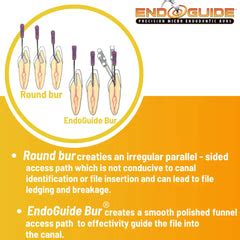 SS White EndoGuide - Precision Micro Endodontic Burs For Endodontic ...