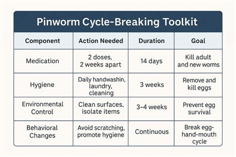 How Do Children Get Pinworms: Simple Transmission Facts For Parents