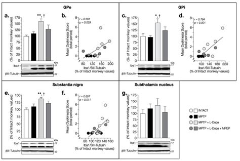 Prevention of L-Dopa-Induced Dyskinesias by MPEP Blockade of ...