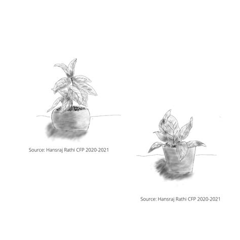 UCT20054 | CEPT - Portfolio
