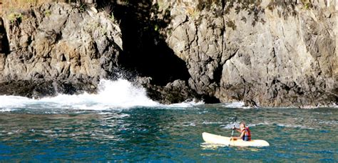 טיולים קצרים - קווי חוף לקיאקים - Howlers Costa Rica Real Escapes