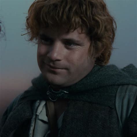 Samwise Gamgee Icon ♡ | Samwise gamgee, The hobbit, Lord of the rings