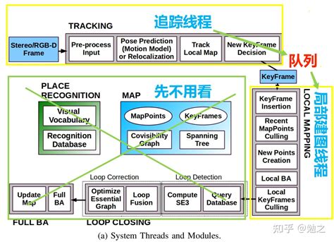 Morphospace Local Optima 的图像结果