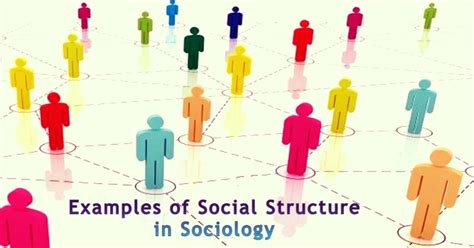 Social Structures Examples 的图像结果