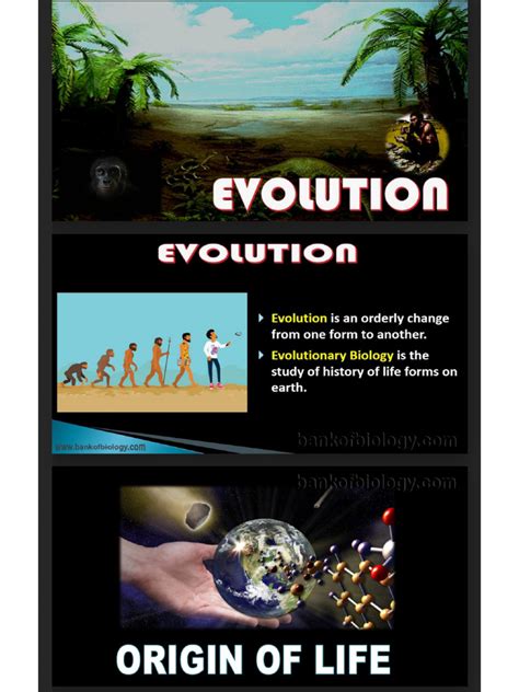 Evolution Level Class 7 的图像结果
