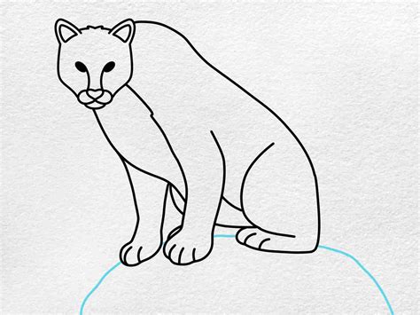 Cougar Drawing - HelloArtsy