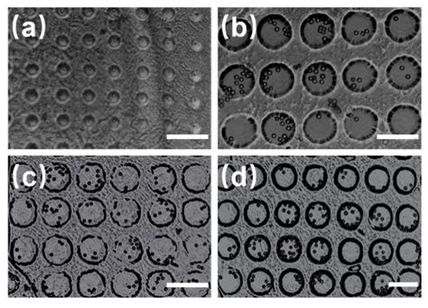 Facile Method for Fabricating Microfluidic Chip Integrated with ...