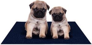 Amorite Reusable Washable Pee Pads-Puppies Washable Dog/Cat Diapers ...