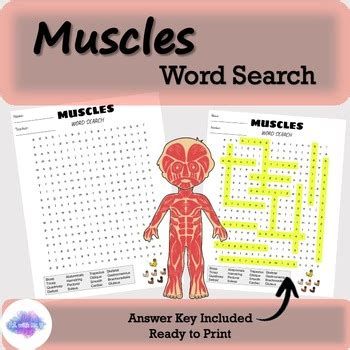 Image result for Muscle Word Search Printable