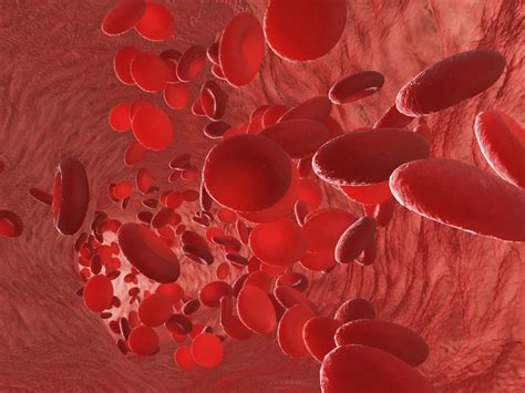 Vegetarians: ଯଦି ଭେଜିଟେରିୟାନ, ନିହାତି ଖାଆନ୍ତୁ ଏହି ୫ଟି ଖାଦ୍ୟ; ହେବନି ଆଇରନ୍ ...