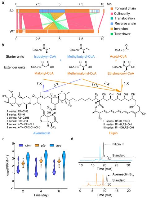 Influence of Cluster-Situated Regulator PteF in Filipin Biosynthetic ...