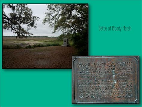 PPT - STANDARDS: SS8H2 Analyze the colonial period of Georgia’s history ...